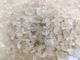SIEMENS Yapay Pirinç İşleme Hattı Çok Fonksiyonlu Çift Vidalı Ekstruder